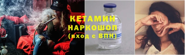 сатива Балахна