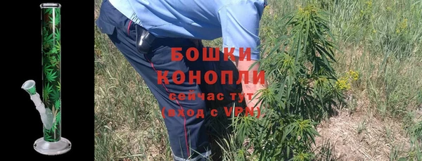 ПСИЛОЦИБИНОВЫЕ ГРИБЫ Беломорск